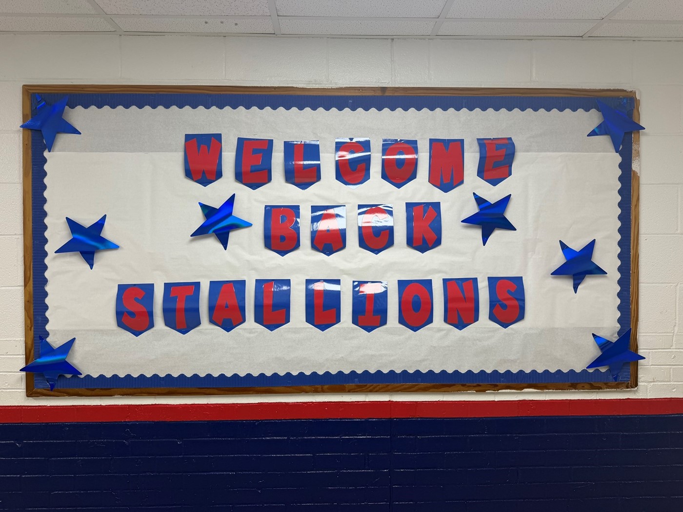 Welcome Back Stallions!